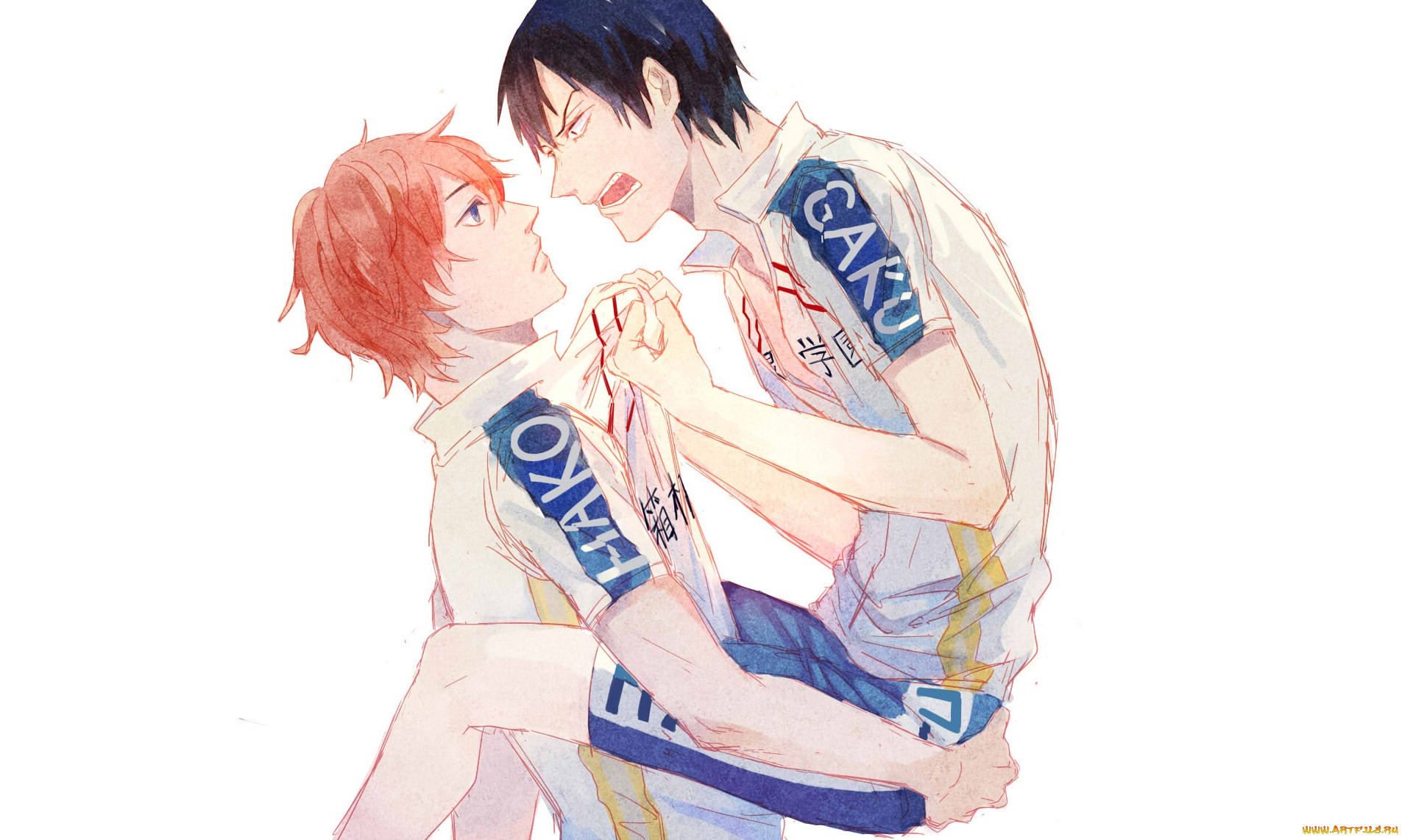 , yowamushi pedal, yowamushi, pedal